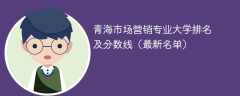 青海市场营销专业大学排名及分数线（2024最新名单）