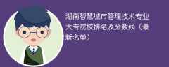 湖南智慧城市管理技术专业大专院校排名及分数线（2024最新名单）