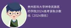 贵州医科大学神奇民族医药学院2024高考录取分数线（2024预估）