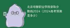北京培黎职业学院录取分数线2024（2024高考预测是多少）