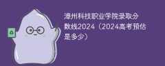 漳州科技职业学院录取分数线2024（2024高考预估是多少）