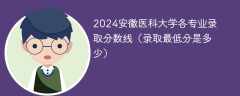 2024安徽医科大学各专业录取分数线（录取最低分是多少）