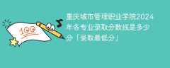 重庆城市管理职业学院2024年各专业录取分数线是多少分「录取最低分」