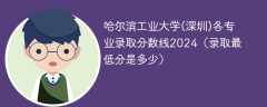 哈尔滨工业大学(深圳)各专业录取分数线2024（录取最低分是多少）