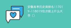 安徽高考历史类排名117020-118019位次能上什么大学（2024）