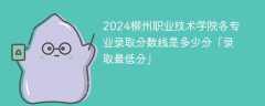 2024柳州职业技术学院各专业录取分数线是多少分「录取最低分」