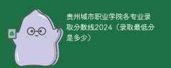 贵州城市职业学院各专业录取分数线2024（录取最低分是多少）