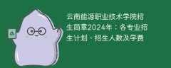 云南能源职业技术学院招生简章2024年：各专业招生计划、招生人数及学费