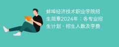 蚌埠经济技术职业学院招生简章2024年：各专业招生计划、招生人数及学费