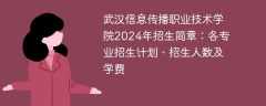 武汉信息传播职业技术学院2024年招生简章：各专业招生计划、招生人数及学费