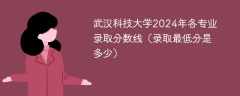 武汉科技大学2024年各专业录取分数线（录取最低分是多少）