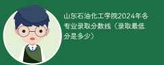 山东石油化工学院2024年各专业录取分数线（录取最低分是多少）