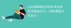 山东海事职业学院各专业录取分数线2024（录取最低分是多少）