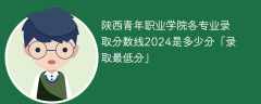 陕西青年职业学院各专业录取分数线2024是多少分「录取最低分」