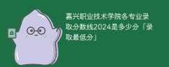 嘉兴职业技术学院各专业录取分数线2024是多少分「录取最低分」