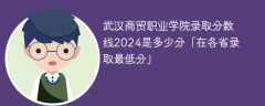 武汉商贸职业学院录取分数线2024是多少分「在各省录取最低分」