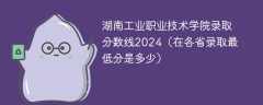 湖南工业职业技术学院录取分数线2024（在各省录取最低分是多少）