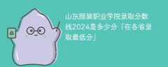 山东服装职业学院录取分数线2024是多少分「在各省录取最低分」