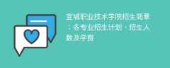 宣城职业技术学院2025年招生简章：各专业招生计划、招生人数及学费