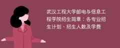武汉工程大学邮电与信息工程学院2025年招生简章：各专业招生计划、招生人数及学费