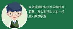 青岛港湾职业技术学院2025年招生简章：各专业招生计划、招生人数及学费