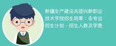 2025年新疆生产建设兵团兴新职业技术学院招生简章：各专业招生计划、招生人数及学费