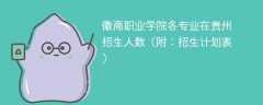 徽商职业学院各专业2025在贵州招生人数、录取分数线（附：招生计划表）