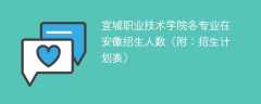 宣城职业技术学院各专业2025在安徽招生人数、录取分数线（附：招生计划表）