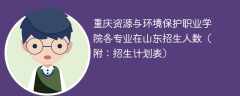 重庆资源与环境保护职业学院在山东各专业招生人数、录取分数线2025（附：招生计划表）