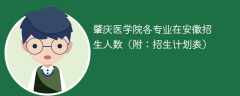 2025年肇庆医学院各专业在安徽招生人数（附：招生计划表）