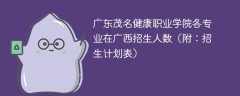 广东茂名健康职业学院在广西各专业招生人数、录取分数线2025（附：招生计划表）