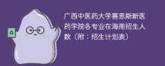 广西中医药大学赛恩斯新医药学院各专业2025在海南招生人数、录取分数线（附：招生计划表）