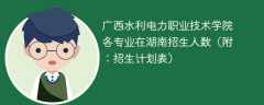 广西水利电力职业技术学院在湖南2025各专业招生人数、录取分数线（附：招生计划表）