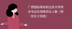 广西国际商务职业技术学院各专业2025在湖南招生人数、录取分数线（附：招生计划表）
