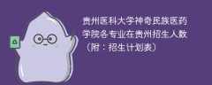 2025贵州医科大学神奇民族医药学院在贵州各专业招生人数、录取分数线（附：招生计划表）