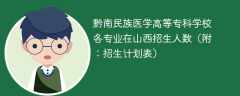 2025年黔南民族医学高等专科学校各专业在山西招生人数（附：招生计划表）