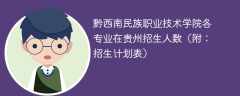 2025黔西南民族职业技术学院在贵州各专业招生人数、录取分数线（附：招生计划表）