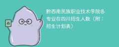 黔西南民族职业技术学院各专业2025在四川招生人数、录取分数线（附：招生计划表）