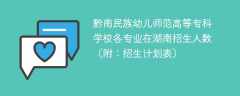 黔南民族幼儿师范高等专科学校各专业在湖南招生人数、录取分数线2025（附：招生计划表）