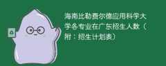 海南比勒费尔德应用科学大学在广东各专业招生人数、录取分数线2025（附：招生计划表）