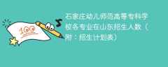石家庄幼儿师范高等专科学校各专业2025在山东招生人数、录取分数线（附：招生计划表）
