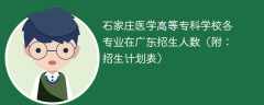 2025石家庄医学高等专科学校在广东各专业招生人数、录取分数线（附：招生计划表）