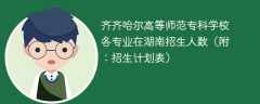 齐齐哈尔高等师范专科学校各专业2025年在湖南招生人数（附：招生计划表）