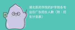 湖北医药学院药护学院各专业2025在广东招生人数、录取分数线（附：招生计划表）