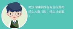 武汉传媒学院在湖南各专业招生人数、录取分数线2025（附：招生计划表）