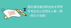 湖北城市建设职业技术学院在山东各专业2025招生人数、录取分数线（附：招生计划表）