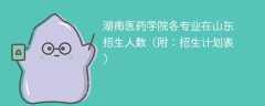 2025湖南医药学院各专业在山东招生人数、录取分数线（附：招生计划表）