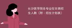 长沙医学院各专业在甘肃招生人数2025年（附：招生计划表）