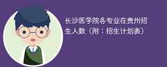 长沙医学院各专业2025年在贵州招生人数（附：招生计划表）