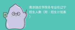 南京晓庄学院2025各专业在辽宁招生人数、录取分数线（附：招生计划表）